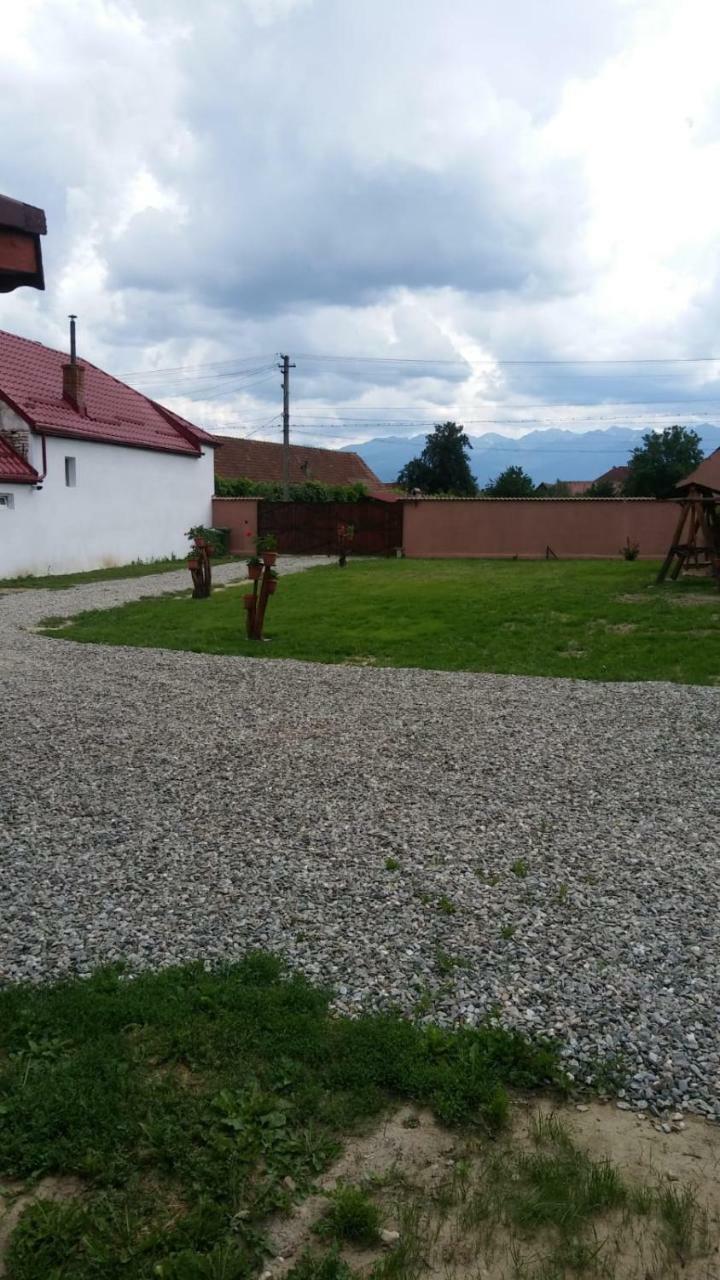 Casa Suzy & Roxy Arpasu de Jos Exterior foto